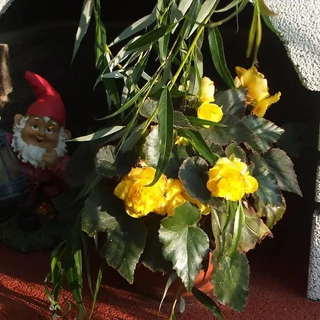 Osterija Na Planinci