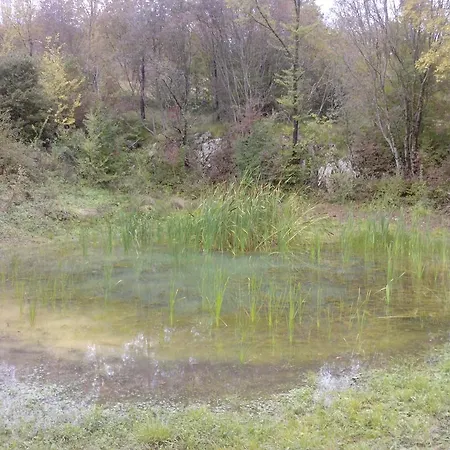 Bed & Breakfast Osterija Na Planinci 4*