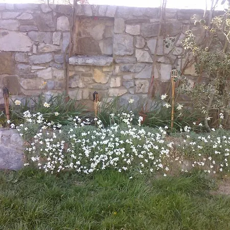 Bed & Breakfast Osterija Na Planinci