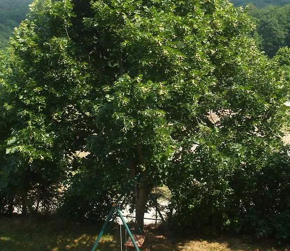 Oda ve Kahvaltı Osterija Na Planinci Divača