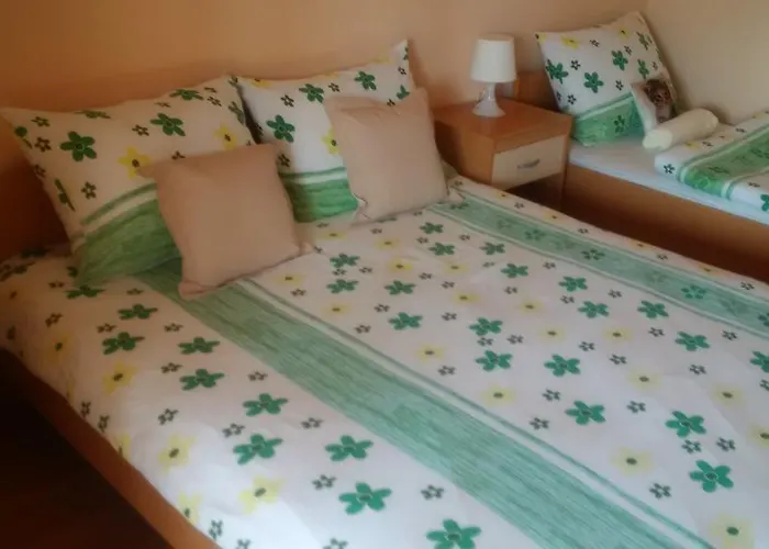 Oda ve Kahvaltı Osterija Na Planinci 4*