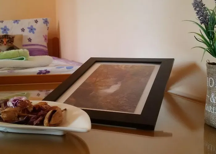 فندق مبيت وإفطار Osterija Na Planinci