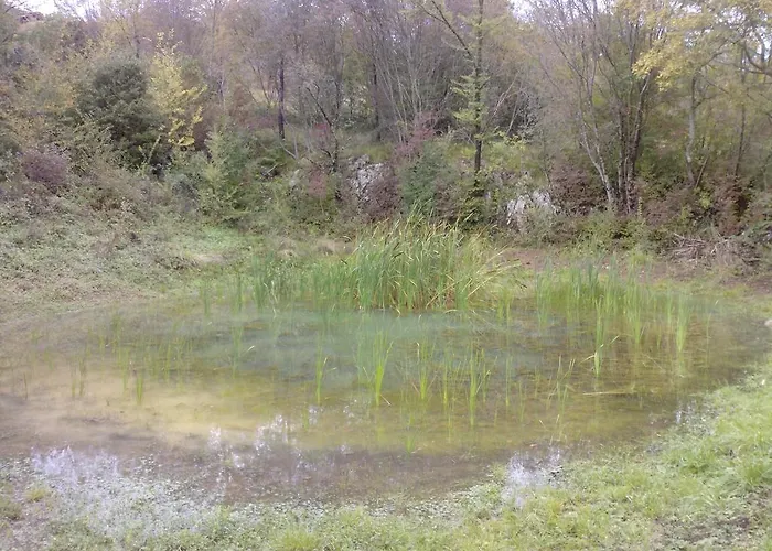 فندق مبيت وإفطار Osterija Na Planinci 4*